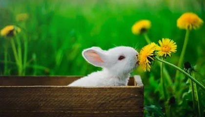 你用91视频总觉得不顺?大概率是选题角度没对上(建议收藏)