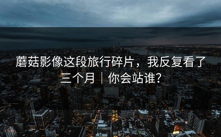 蘑菇影像这段旅行碎片,我反复看了三个月|你会站谁? 蘑菇影像这段旅行碎片,我反复看了三个月|你会站谁?