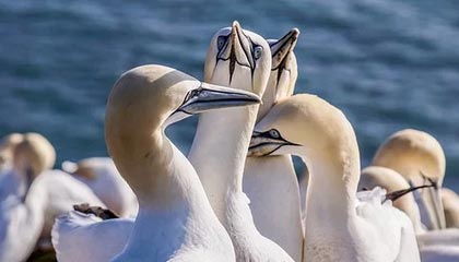 我承认我搜过“黑料正能量”，但最后我只做了这件事：我决定不传播